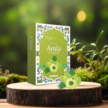 Amla Powder Manufacturer in India