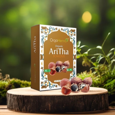 Aritha Powder Manufacturer in India
