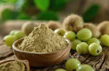 Indian Herbs Manufacturer | Indian Herbs Manufacturer in India