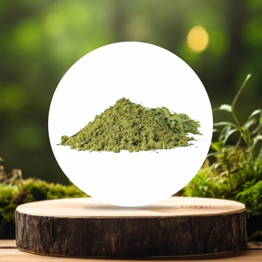 Senna Leaves Powder Manufacturer in India
